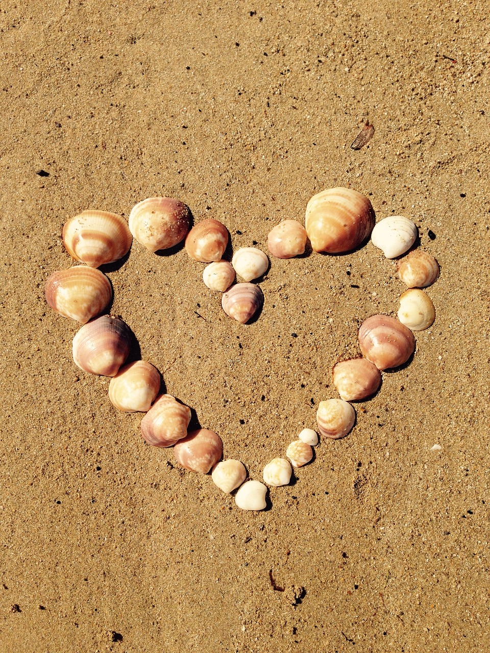 heart, love, shell, sand, sea, yellow, ibiza, handcraft, nature, template, postcard, background, valentine's day, wedding, engagement, application, fun, pleasure, beautiful wallpaper, europe, italy, spain, mediterranean, map, gift, present, iphone wallpaper